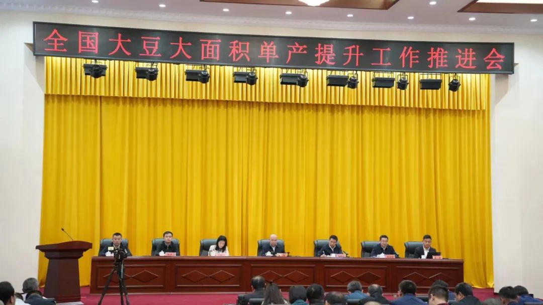 大豆4.jpg