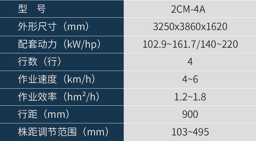 d12ded5d44195640a9621c9e0817e124_1739424877174364.png